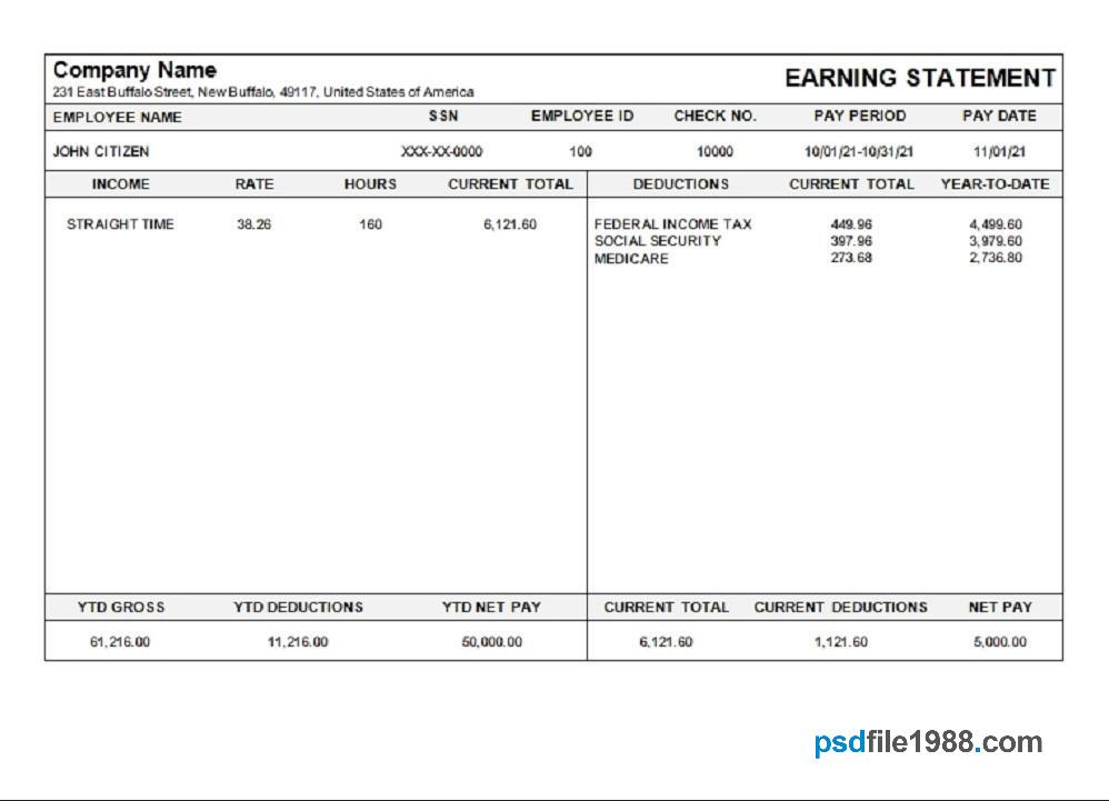 USA Michigan Pay Stub